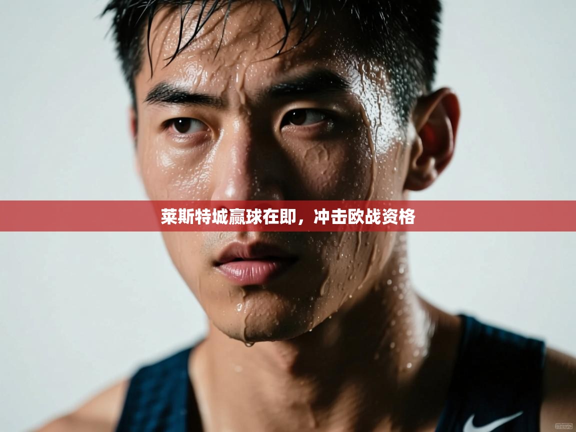 莱斯特城赢球在即,冲击欧战资格 第1张