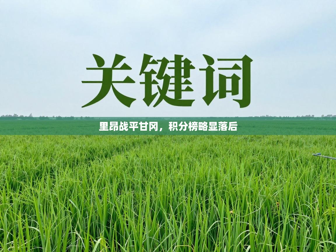 里昂战平甘冈，积分榜略显落后  第1张